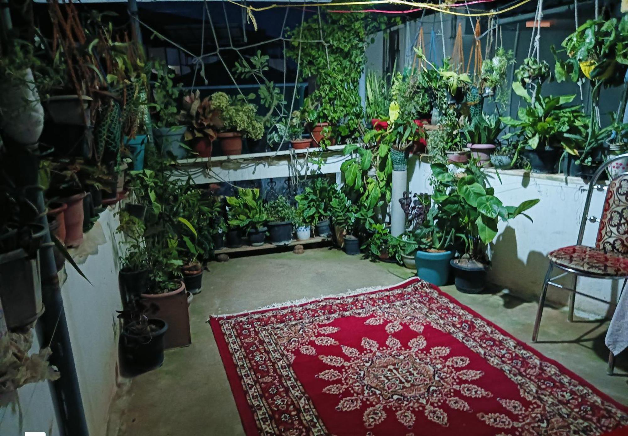 Homestay Dion Kochi