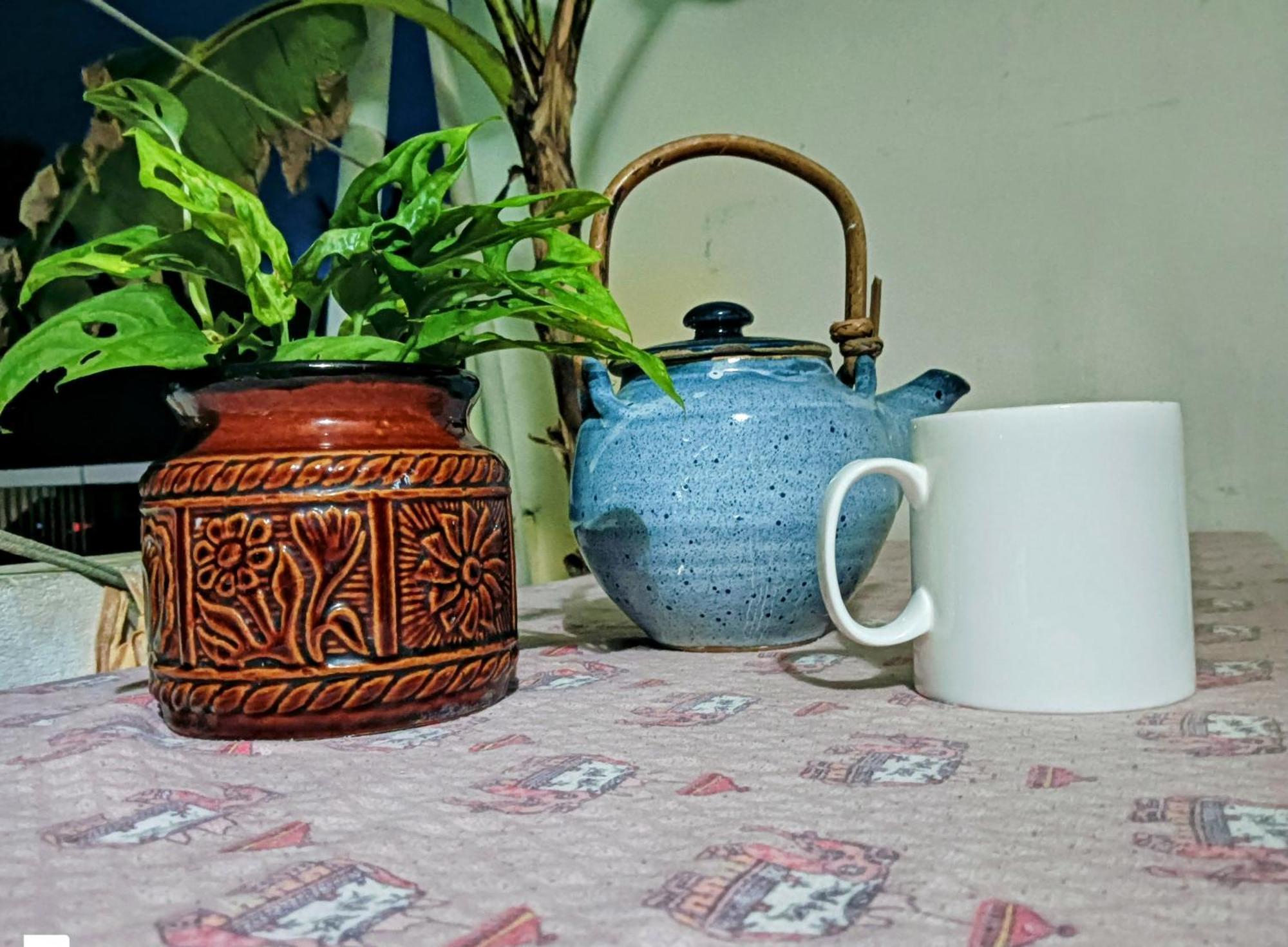 Homestay Dion